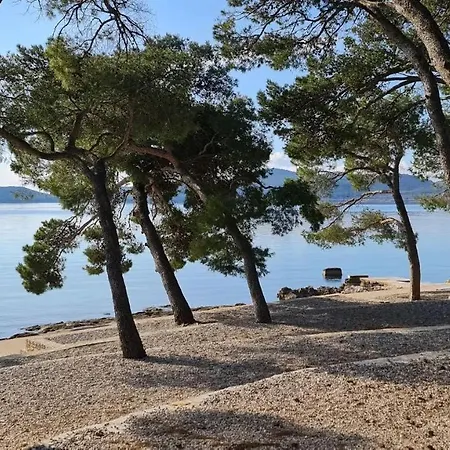 Mobile Rene Campsite