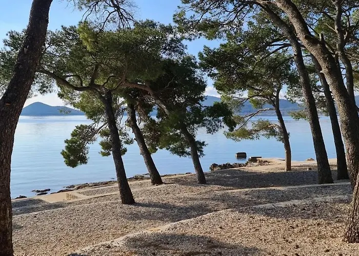 Mobile Rene 캠프장